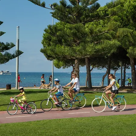 Kottmann * קמברילס