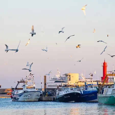 Kottmann Appartement *